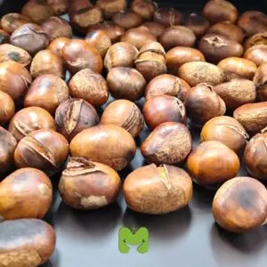 דוכן ערמונים